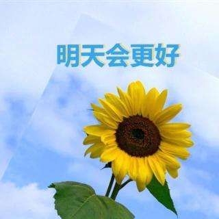 僑洋實(shí)業(yè)的未來夢(mèng)是對(duì)“更好”的追求。