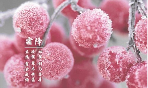 霜降已到，冬天還會遠嗎？